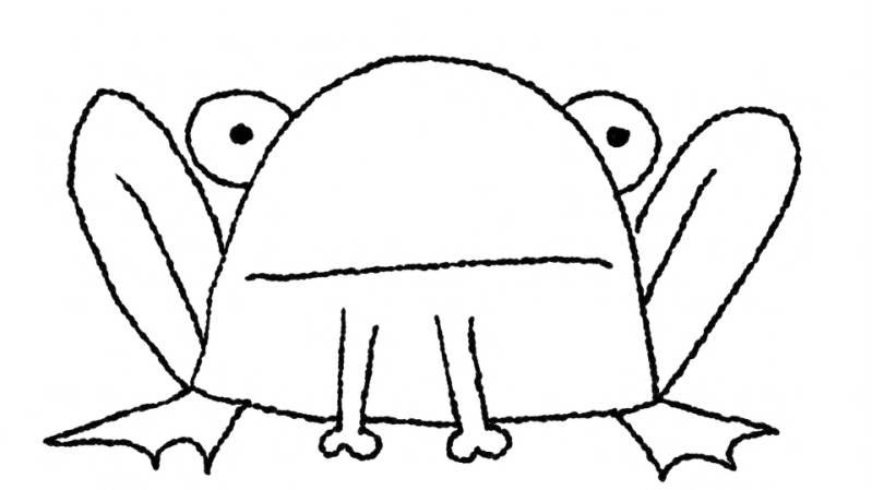 brian barber line drawing of a frog