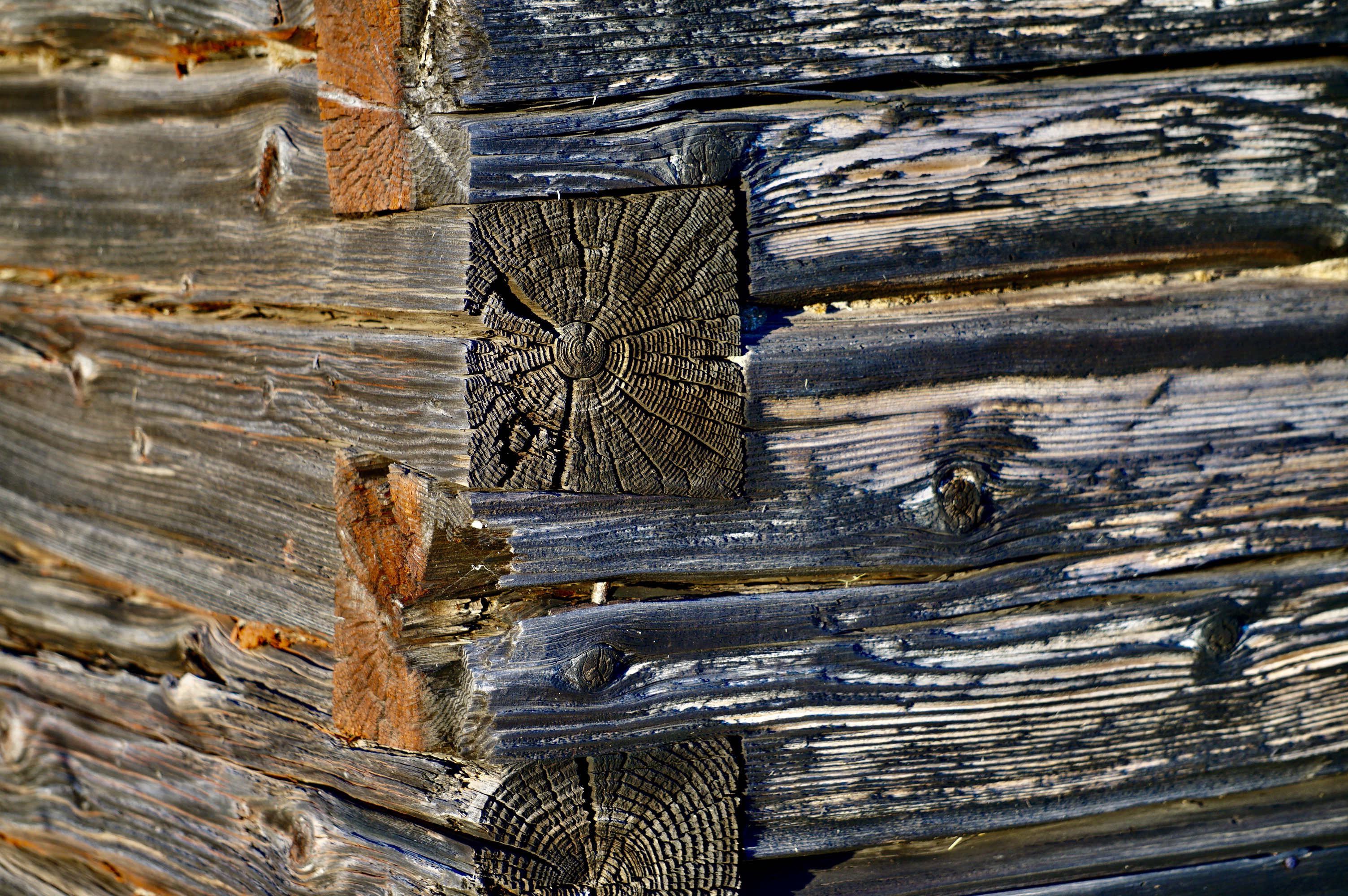 Photo of the corner work of a log building