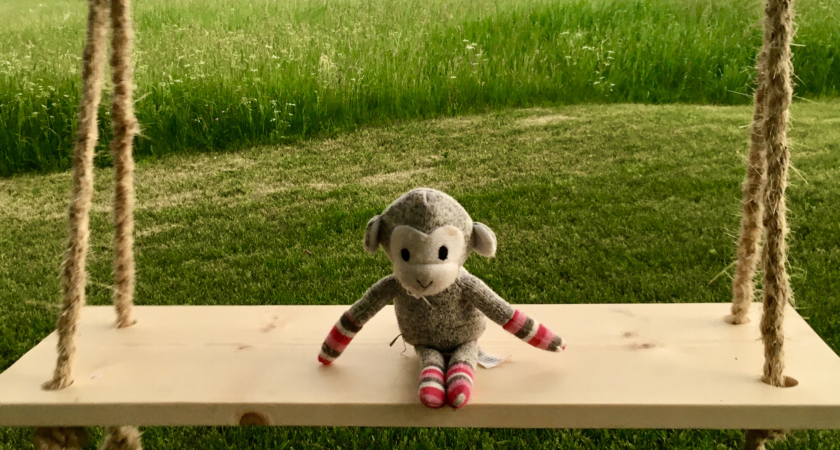 Photo of childs stuffed toy on a swing