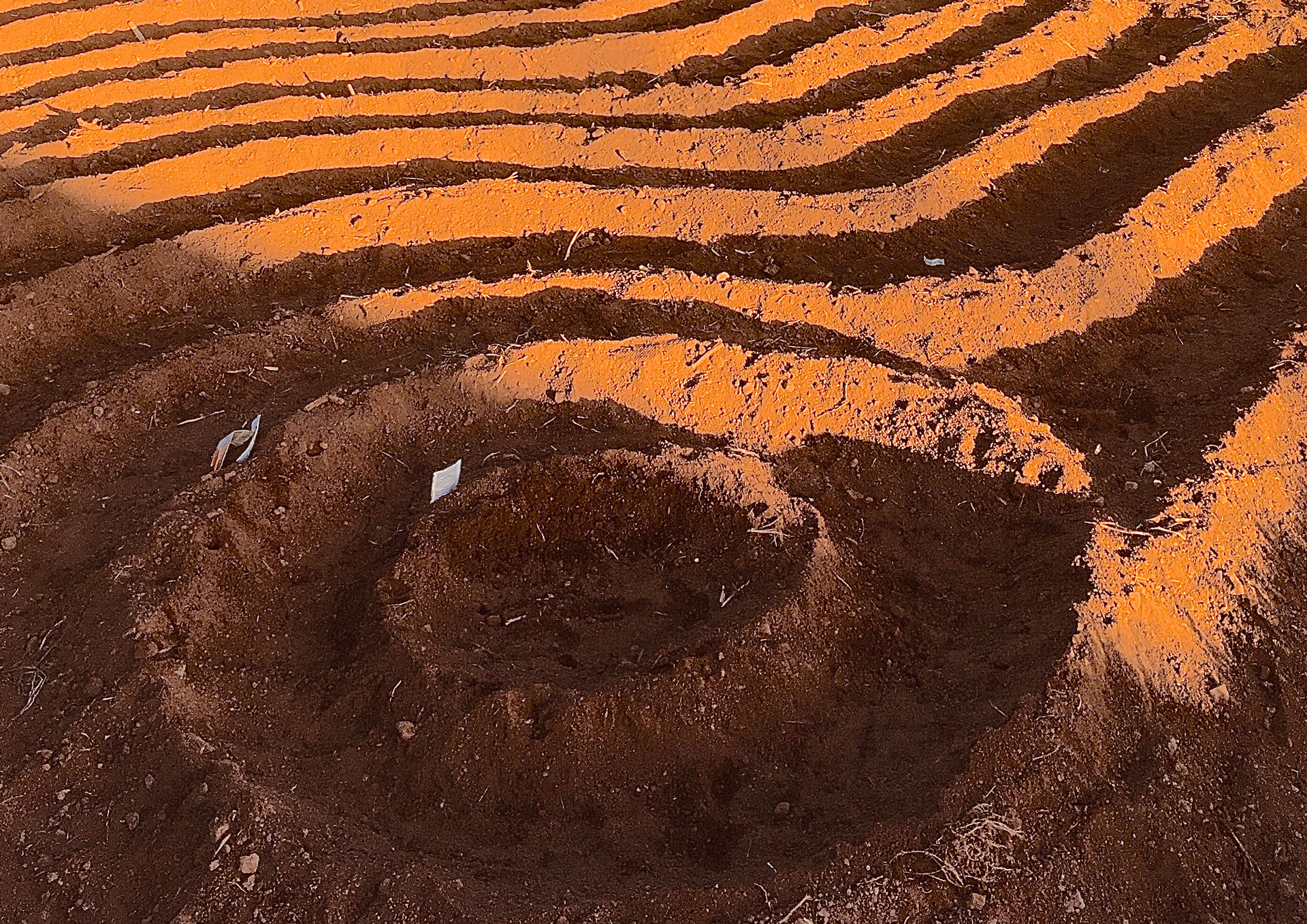 photo of ridge rows of dirt in a tilled garden in a circular form