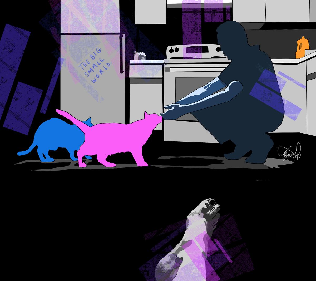 silhouette of a figure in a kitchen squatting down to greet a bright pink and bright blue cat